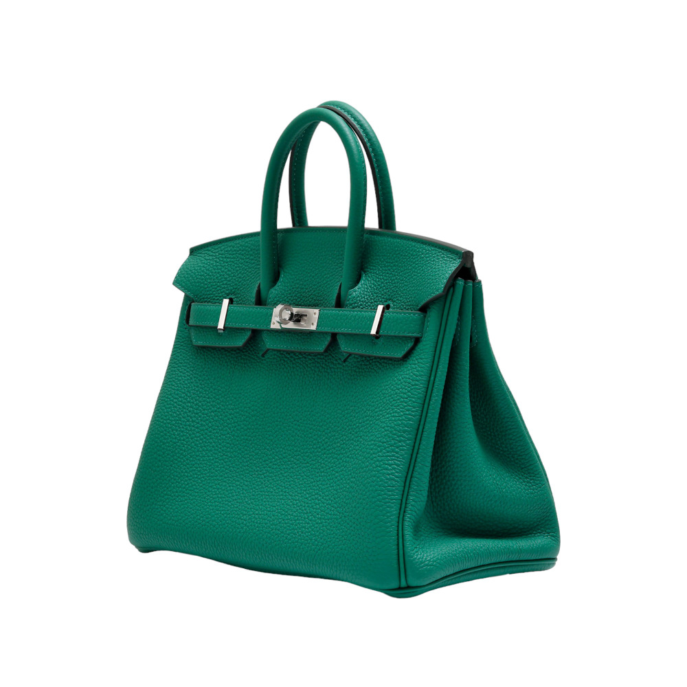 未使用] エルメス バーキン25 トゴ ヴェールヴェルティゴ シルバー金具