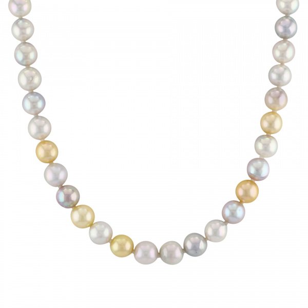 ユキザキセレクトジュエリー パール  ¥81,400