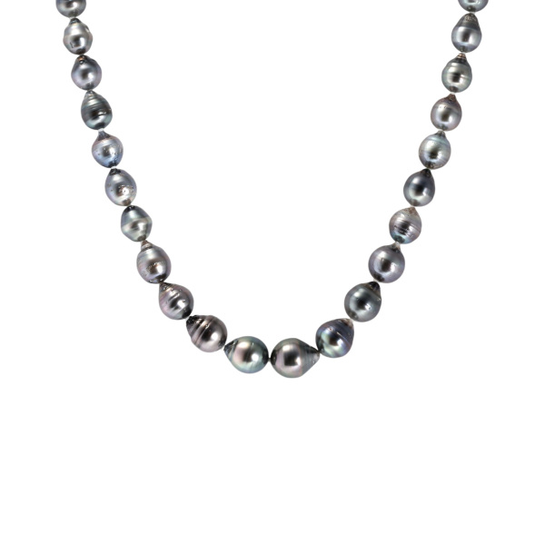 ユキザキセレクトジュエリー パール  ¥67,100