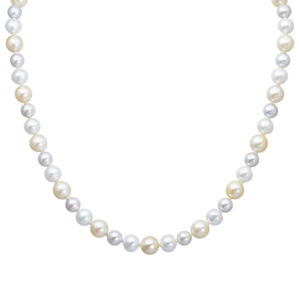 유키자키 진주 유키자키 셀렉트 주얼리 진주 코발트 