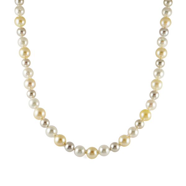 ユキザキセレクトジュエリー yukizakiselect パール pearl j159735