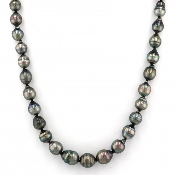 ユキザキセレクトジュエリー パール  ¥120,000