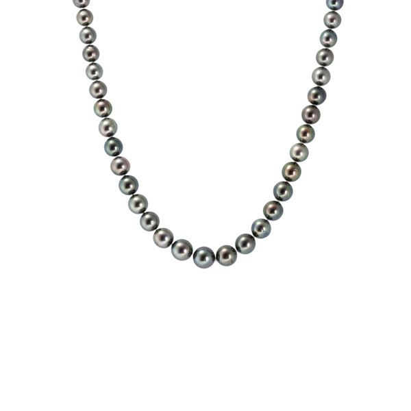 ユキザキセレクトジュエリー パール  ¥398,000