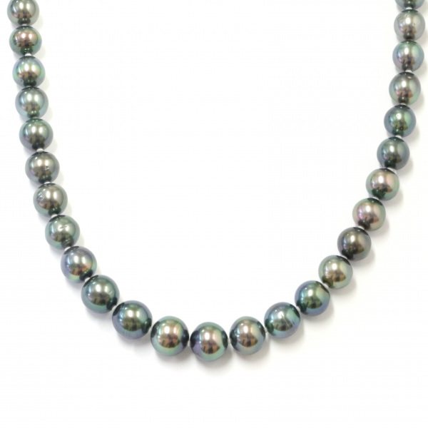 yukizakiselect pearl ユキザキセレクトジュエリー パール ホワイトゴールド クロチョウパール ネックレス 