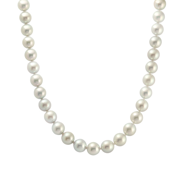 yukizakiselect pearl ユキザキセレクトジュエリー パール コバルト 