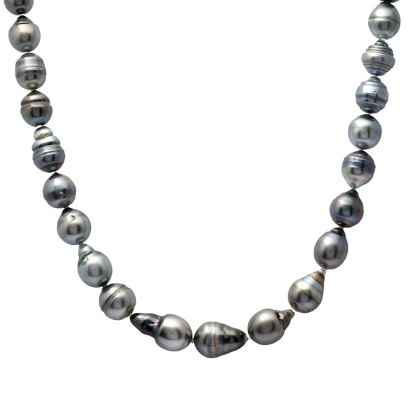 yukizakiselect pearl ユキザキセレクトジュエリー パール タヒチ 