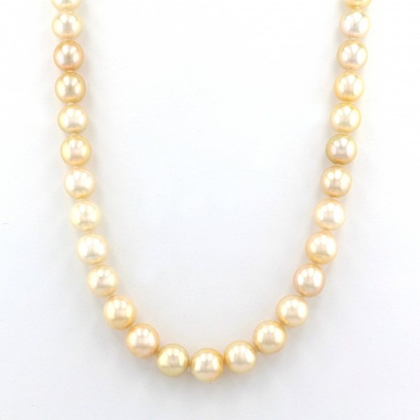 ユキザキセレクトジュエリー パール  ¥260,000