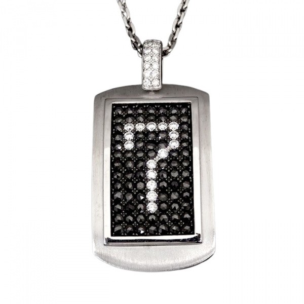 Yukizaki Select ProperOther Yukizaki Select Jewelry OTHER License plate Necklace [7] w50091.2.9