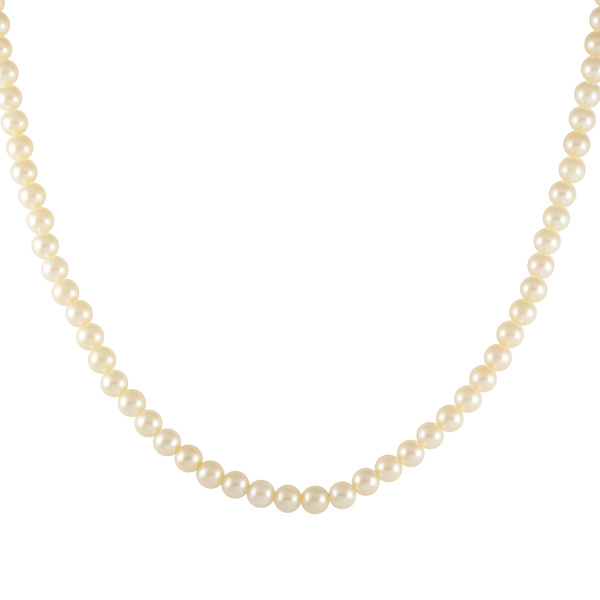 yukizakiselect pearl ユキザキセレクトジュエリー パール  