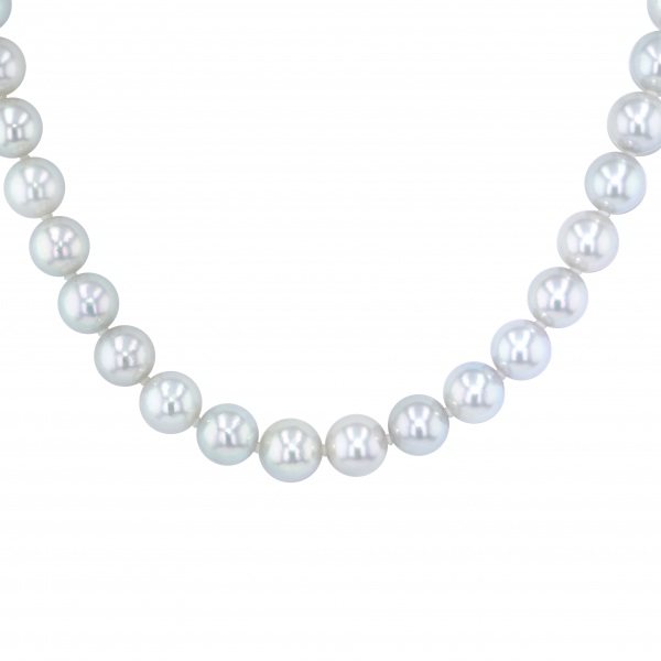 yukizakiselect pearl ユキザキセレクトジュエリー パール オーロラ真多麻 パール ネックレス 