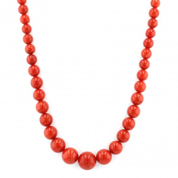 yukizakiselect ProperOther ユキザキセレクトジュエリー OTHER イエローゴールド サンゴ ネックレス 