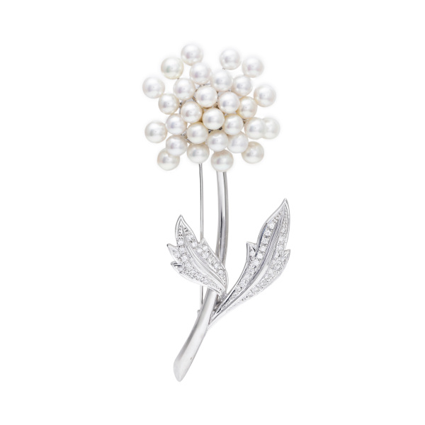 ユキザキセレクトジュエリー パール  ¥360,000