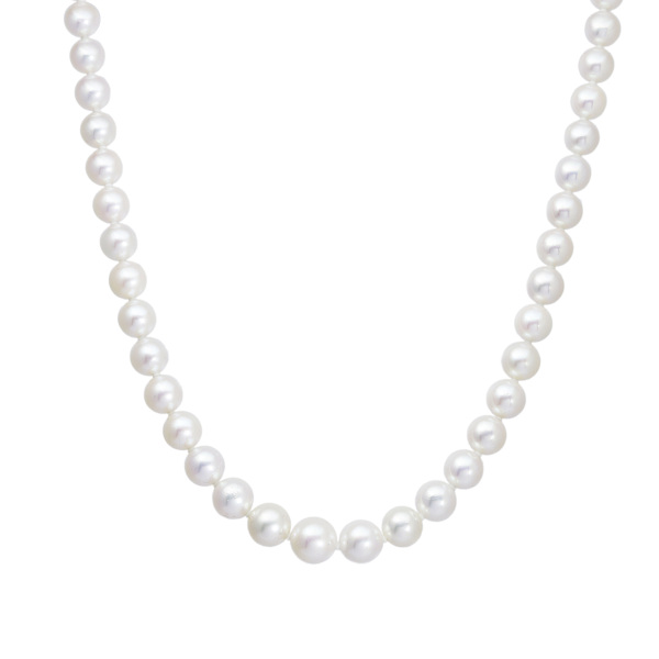 유키자키 진주 유키자키 셀렉트 주얼리 진주  