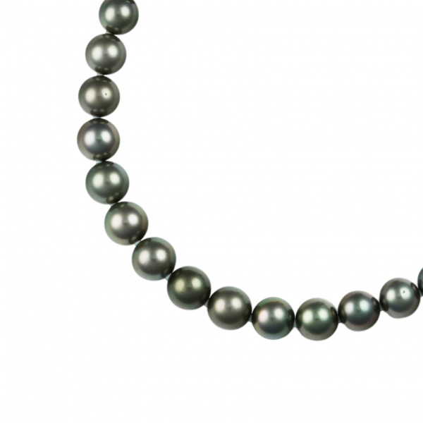 ユキザキセレクトジュエリー yukizakiselect パール pearl j248455