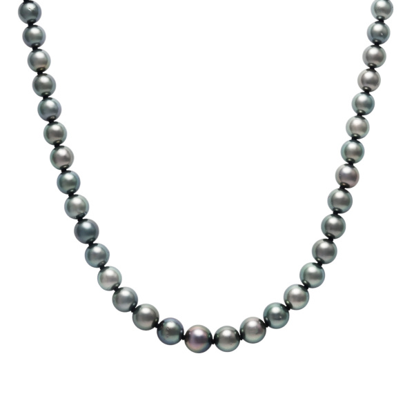 ユキザキセレクトジュエリー yukizakiselect パール pearl j310693