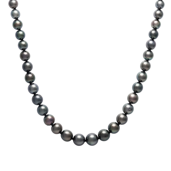 ユキザキセレクトジュエリー yukizakiselect パール pearl j310695