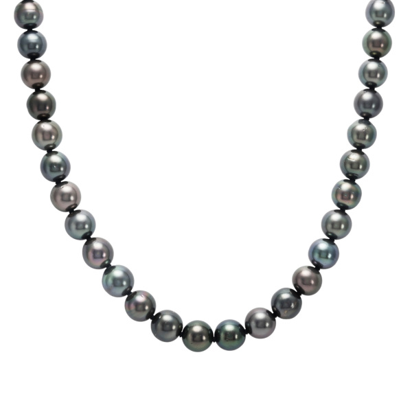 ユキザキセレクトジュエリー yukizakiselect パール pearl j311052