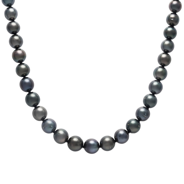 ユキザキセレクトジュエリー yukizakiselect パール pearl j313268