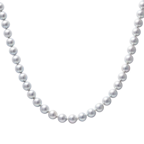 유키자키 진주 유키자키 셀렉트 주얼리 진주  