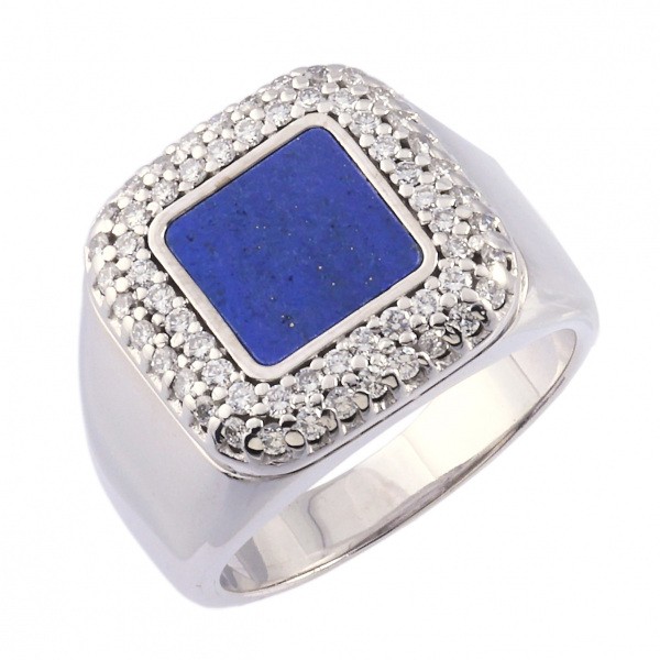 patekphilippe other パテック・フィリップ  