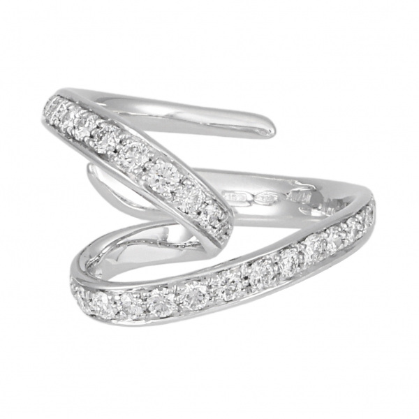 Scavia scavia Other other j356820