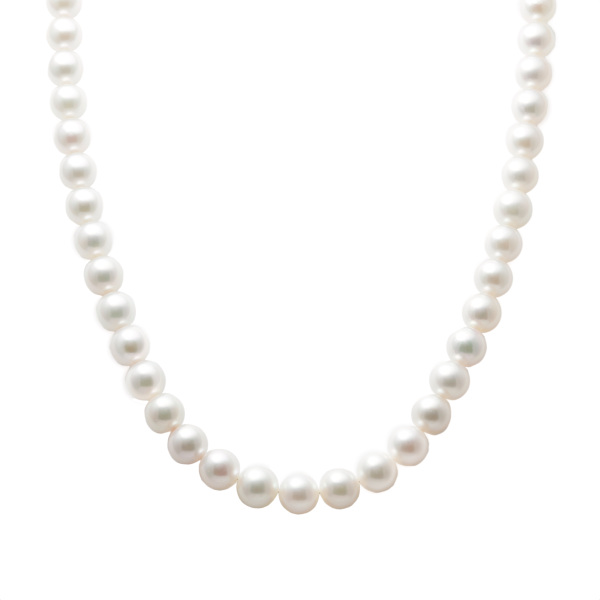 ユキザキセレクトジュエリー パール  ¥320,000