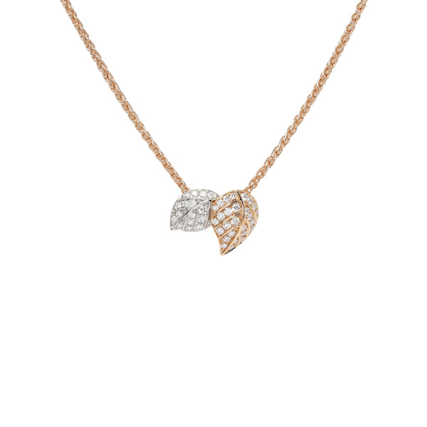 picchiotti leaf ピキョッティ リーフ  