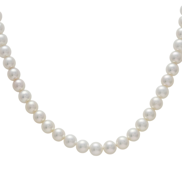 ユキザキセレクトジュエリー パール  ¥330,000