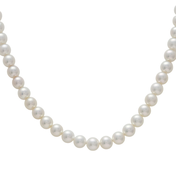 ユキザキセレクトジュエリー yukizakiselect パール pearl j395617