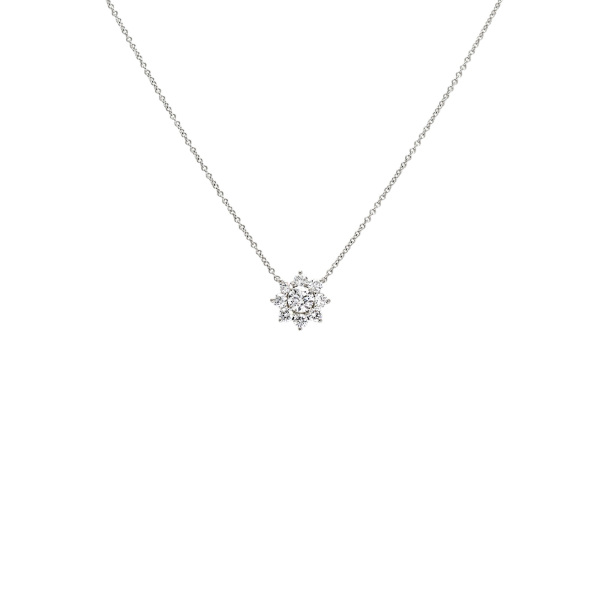 美品◎HARRY WINSTON ネックレスケース 高級 ジュエリー 記念品 ハリー・ウィンストン(HARRY WINSTON)の新品中古 高級ジュエリー