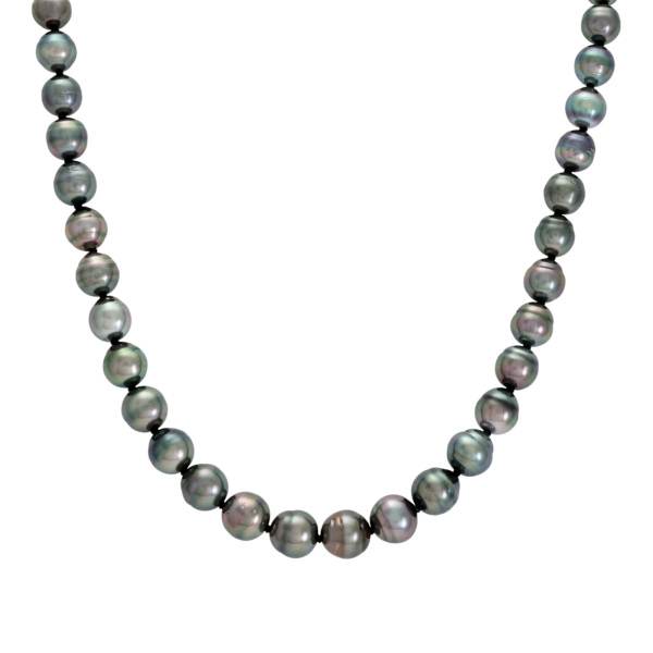 yukizakiselect pearl ユキザキセレクトジュエリー パール  