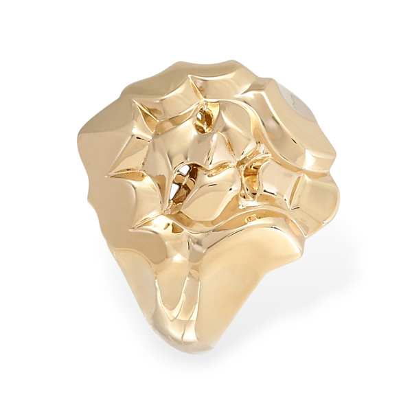 chanel sous le signe du lion シャネル スー ル シーニュ デュ リオン  j10763