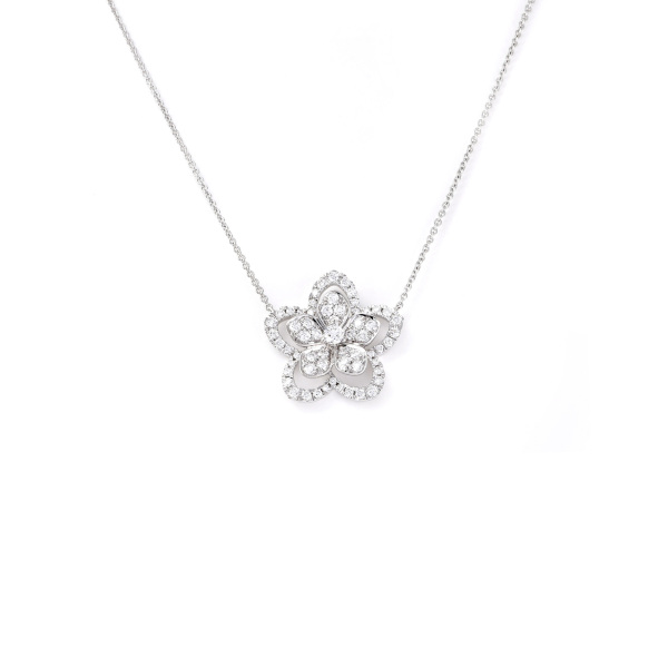 graff wildfower j429957