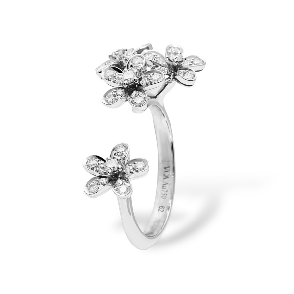 vancleefarpels socrate ヴァンクリーフ&アーペル ソクラテス アントレ レ ドア vcarb14500