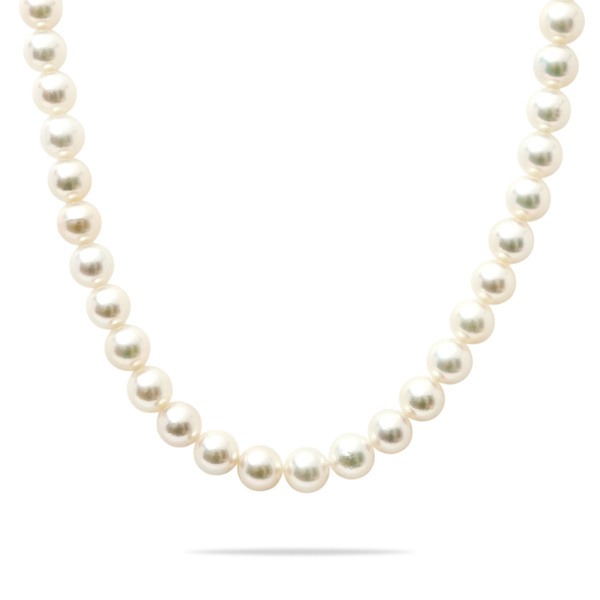 yukizakiselect pearl ユキザキセレクトジュエリー パール  