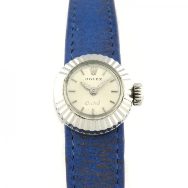 rolex other ロレックス カメレオン オーキッド w171372