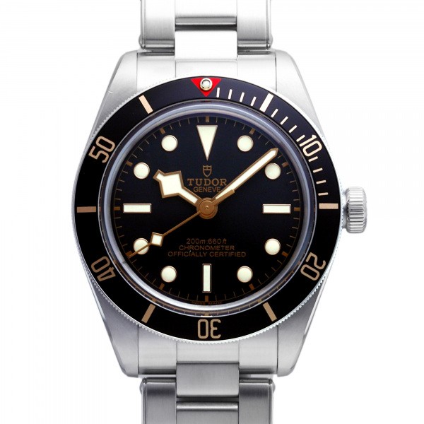 チューダー（チュードル） tudor その他 other w204975