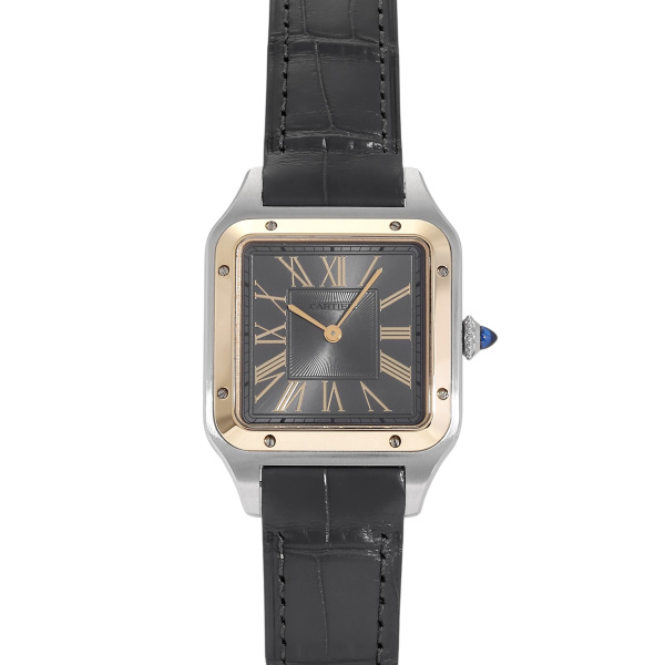 Cartier cartier SANTOS santos w262227