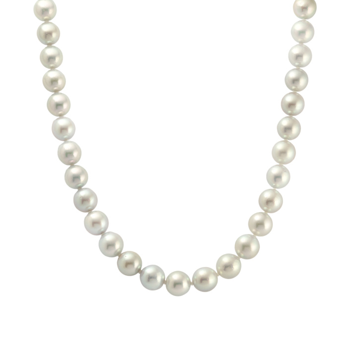 シルバー アコヤパール パール ネックレス J187254 | ユキザキセレクト
