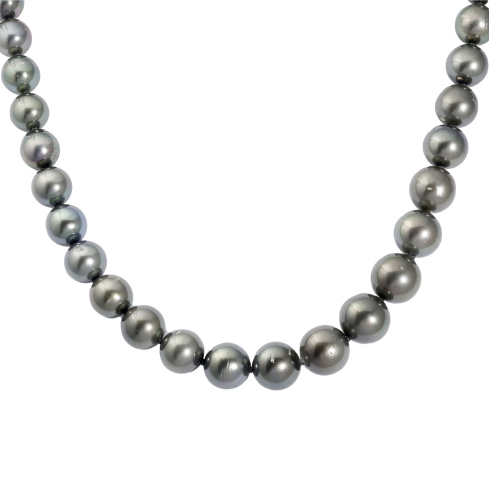 シルバー 黒蝶パール パール ネックレス J193562 | ユキザキセレクト