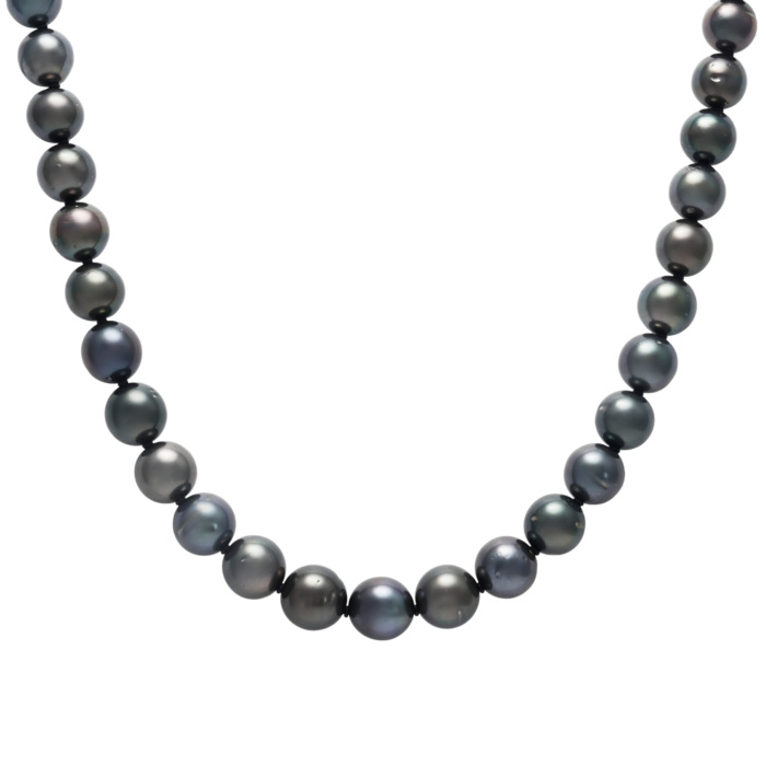PT850 メンズパール パール ネックレス J313268 | ユキザキセレクト