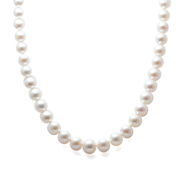 シルバー アコヤパール パール ネックレス J379847 | ユキザキセレクト