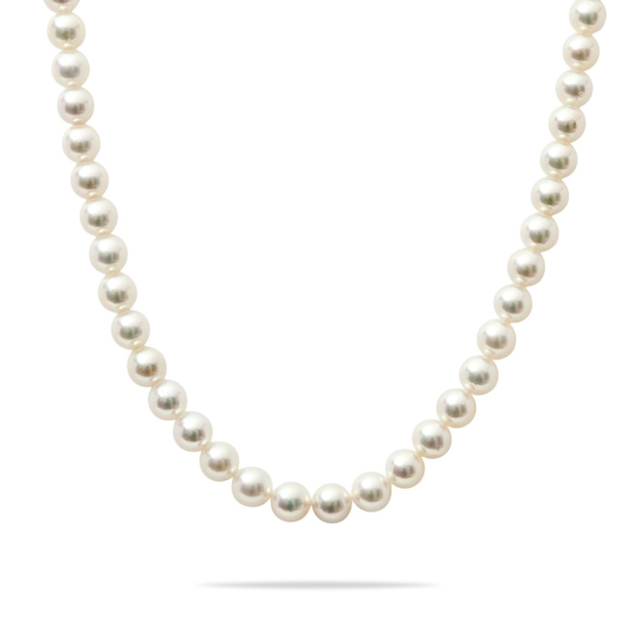 シルバー アコヤパール パール ネックレス J444820 | ユキザキセレクト