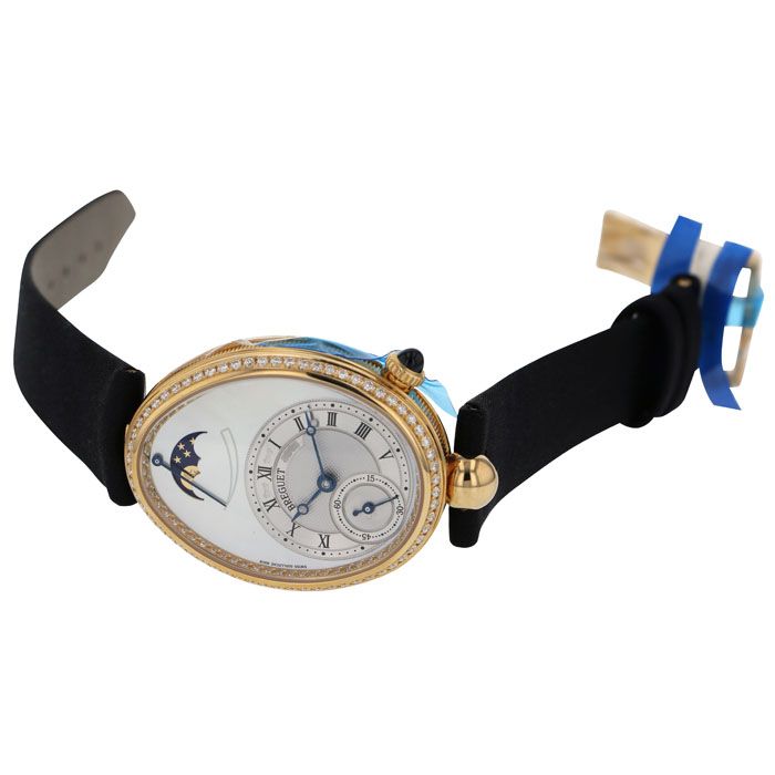 プロテア　クイーン クイーンプロテアの特徴や育て方、増やし方等の紹介【クィーン